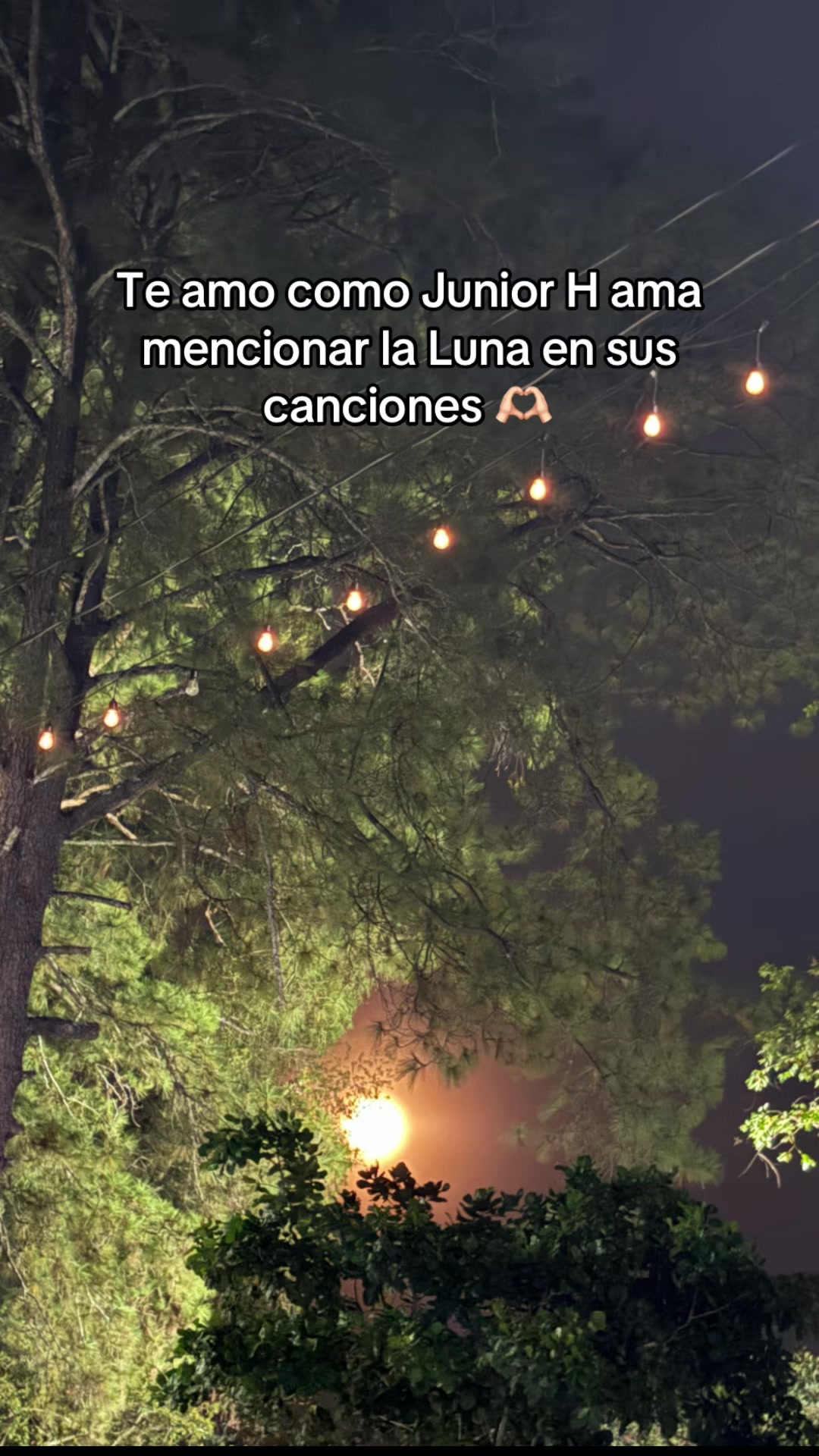 @𝓐 𝓵 𝓲 𝓼 𝓼 ♡ 𝓷