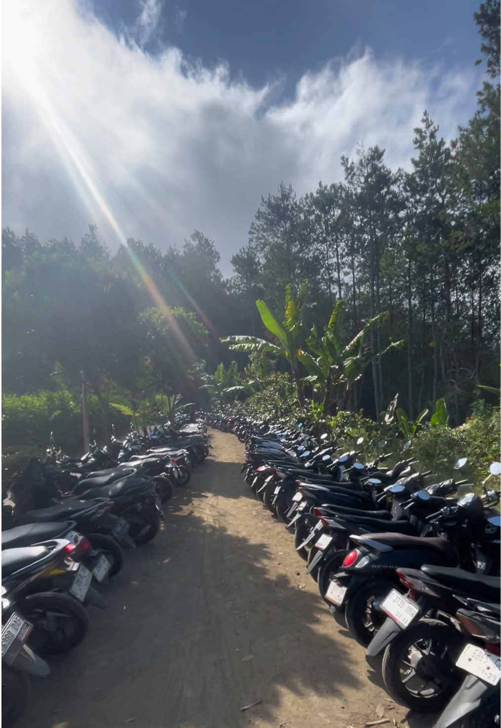 @Mt sagara