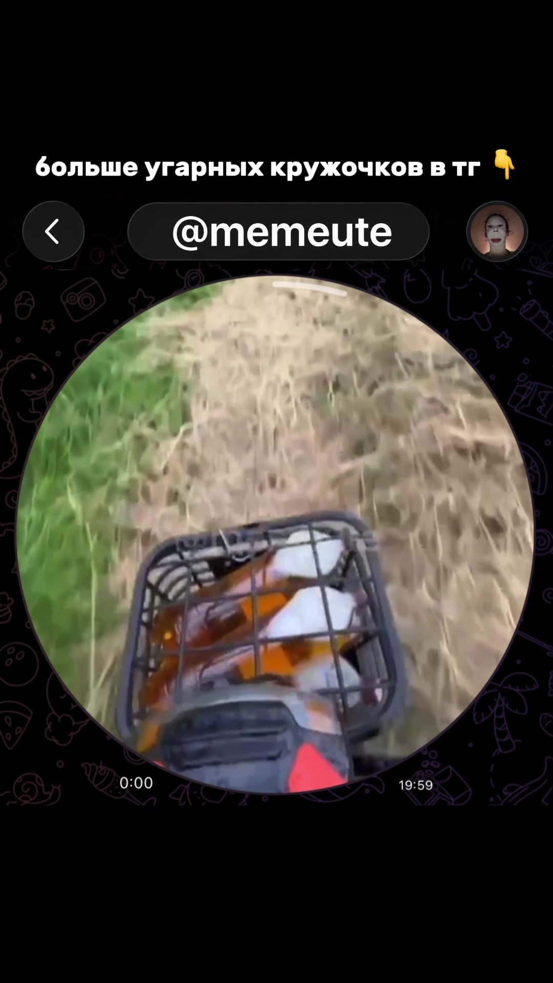 @тгк: memeute
