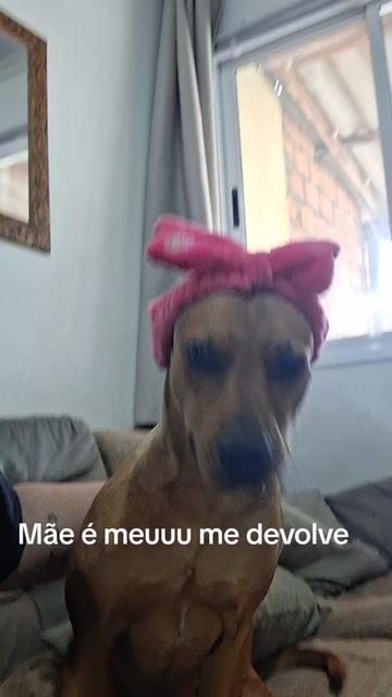 @Carla de souza Boldori