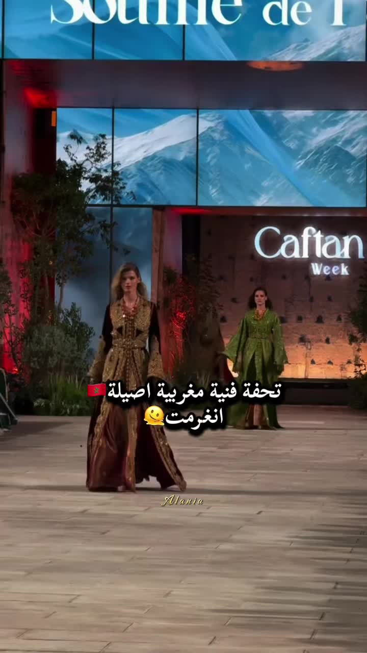 @⚜️ Alania | ألانية⚜️