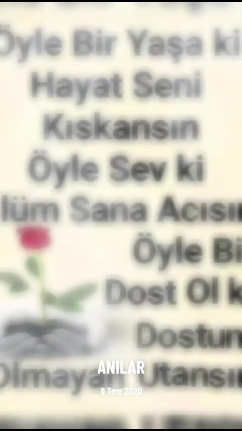 @zeliş