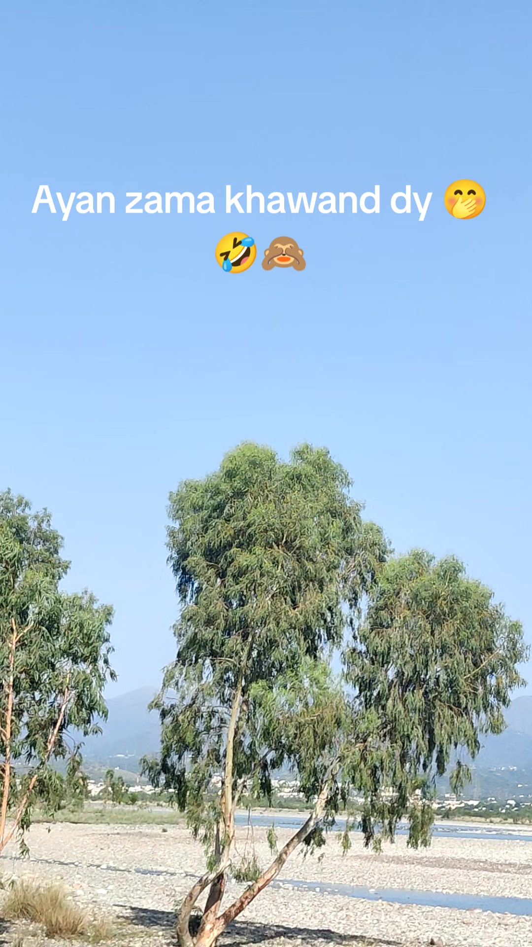@Durrkhani❤️🩹👀