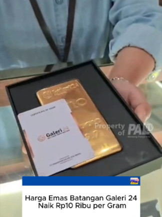 @Paltv-Memang Punyo Kito