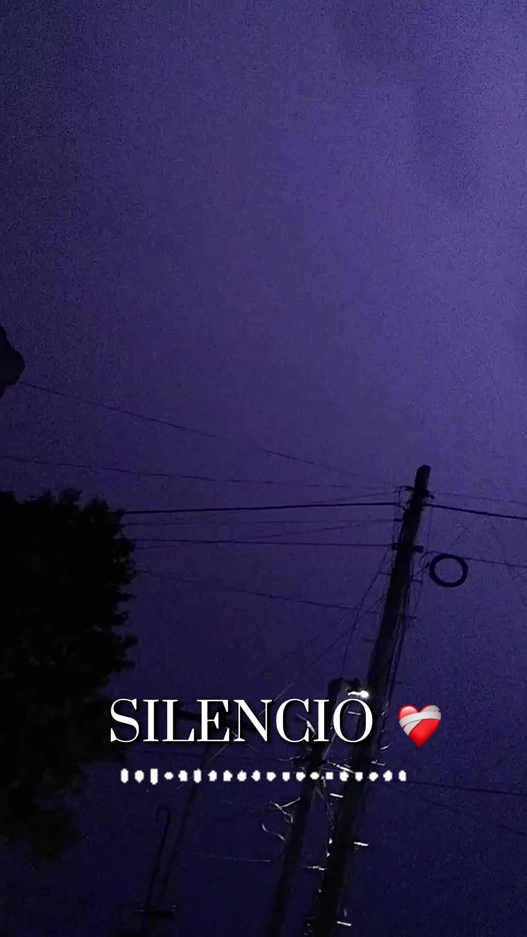 @🎼Chiqui🎼