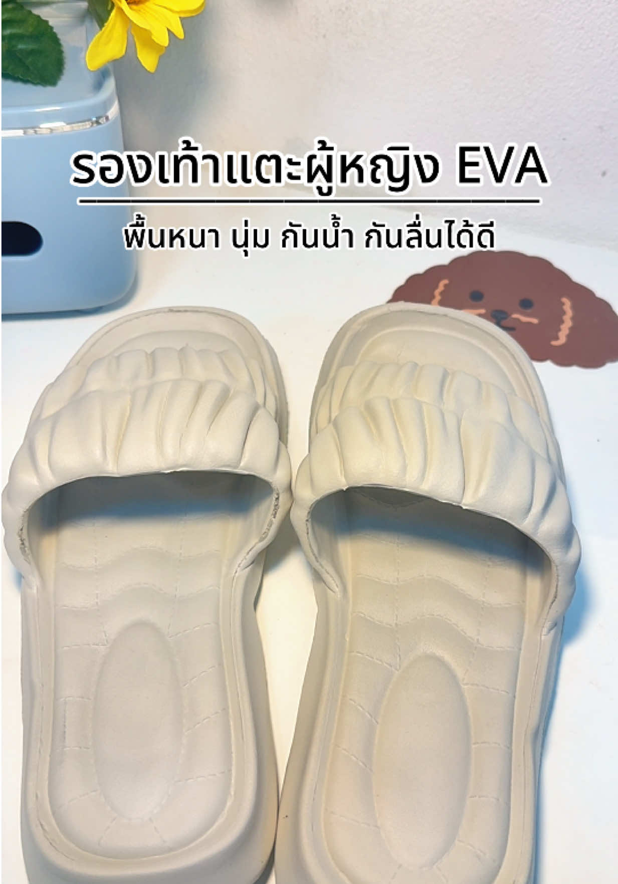@มี๋ หมี๋
