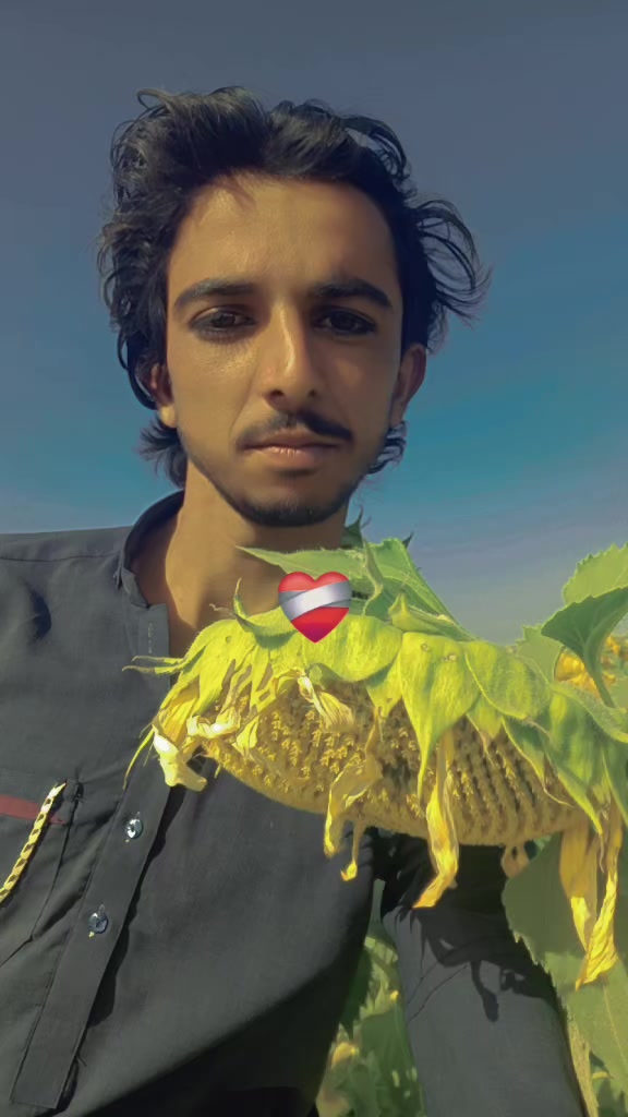 @seebano 76/