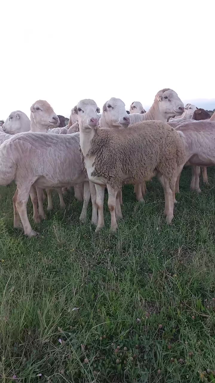 @Çöl.adamı