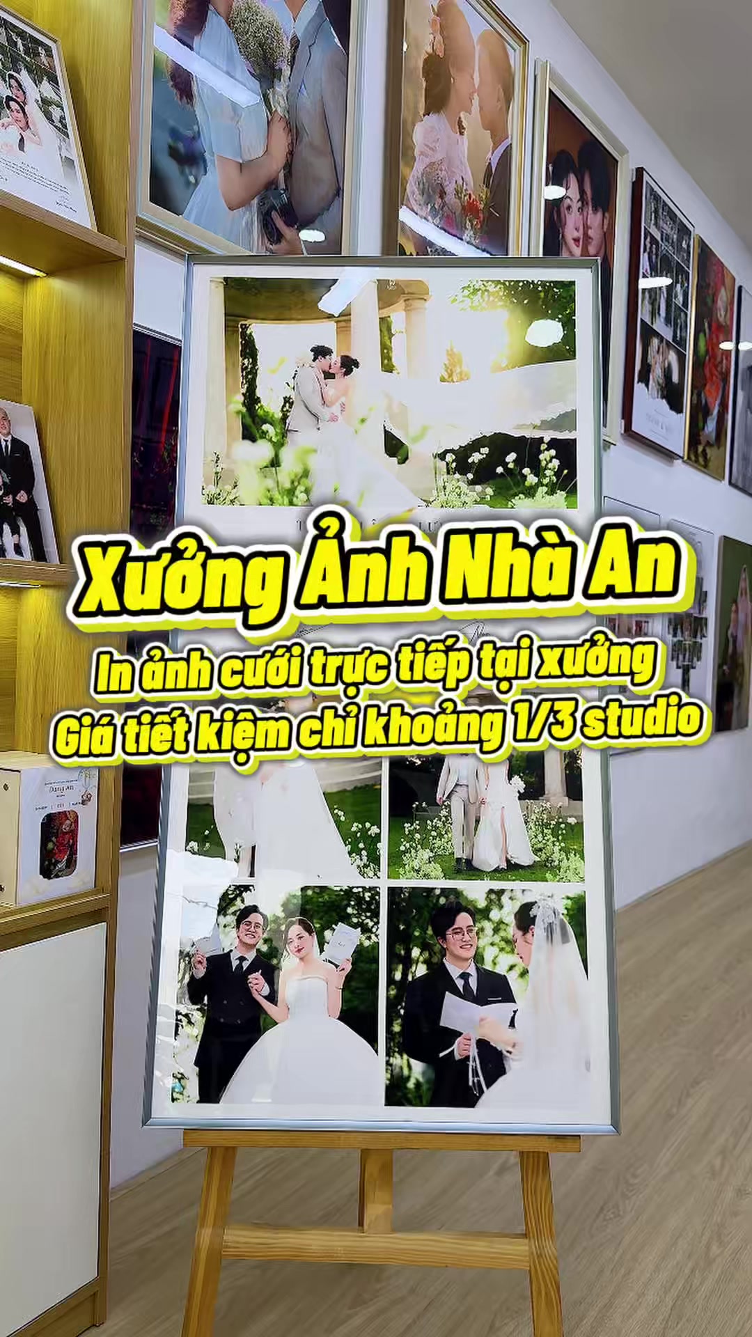 @R&Igrave; VIU B&Igrave;NH DƯƠNG