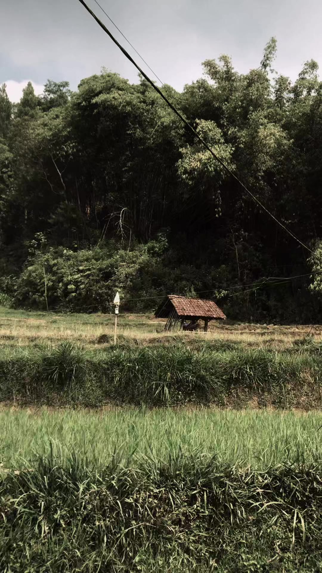 @𝚍ᵢᗰₐ𝘴 𝘴ᵤ𝚍ₐ𝓱 𝚝ₒ𝚋ₐ𝚝
