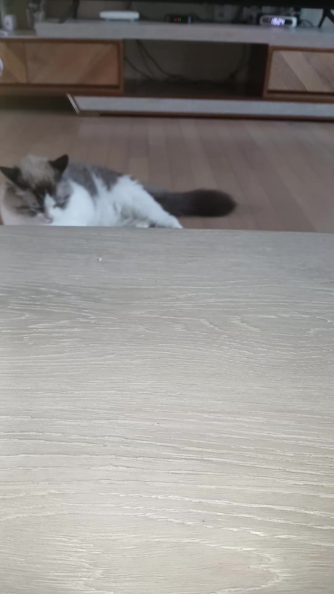 @연
