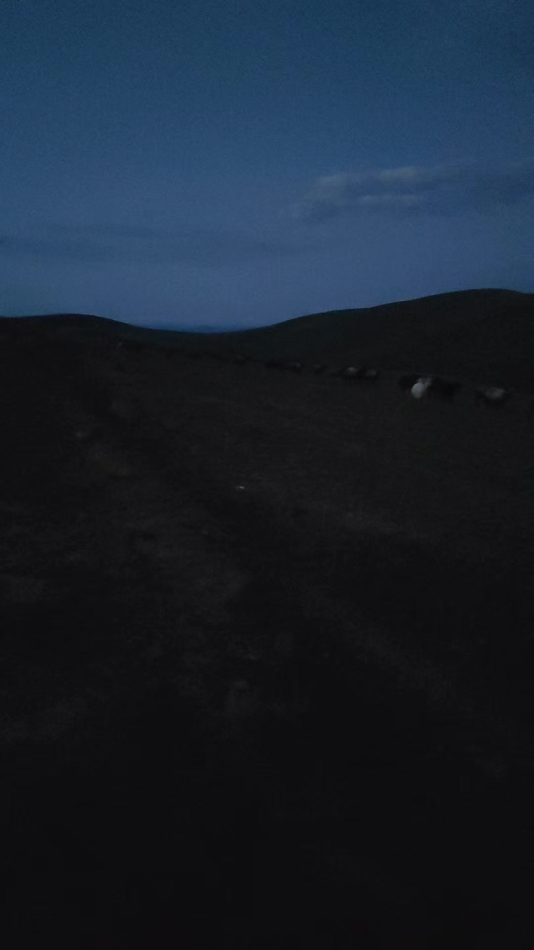 @Suren Kalasyan