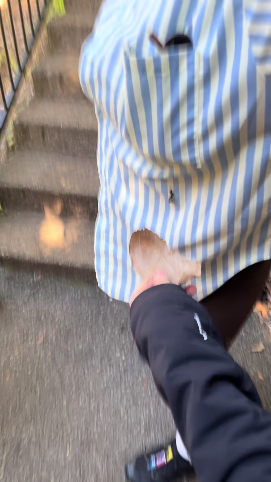 @JoyJoy