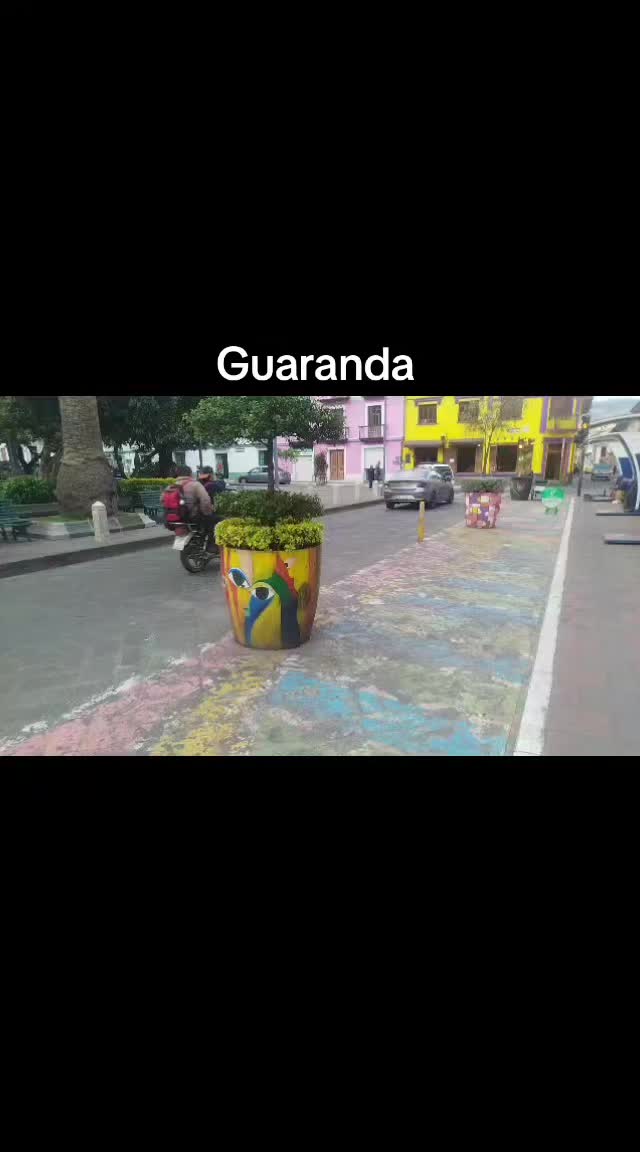 @Chimborazo_online