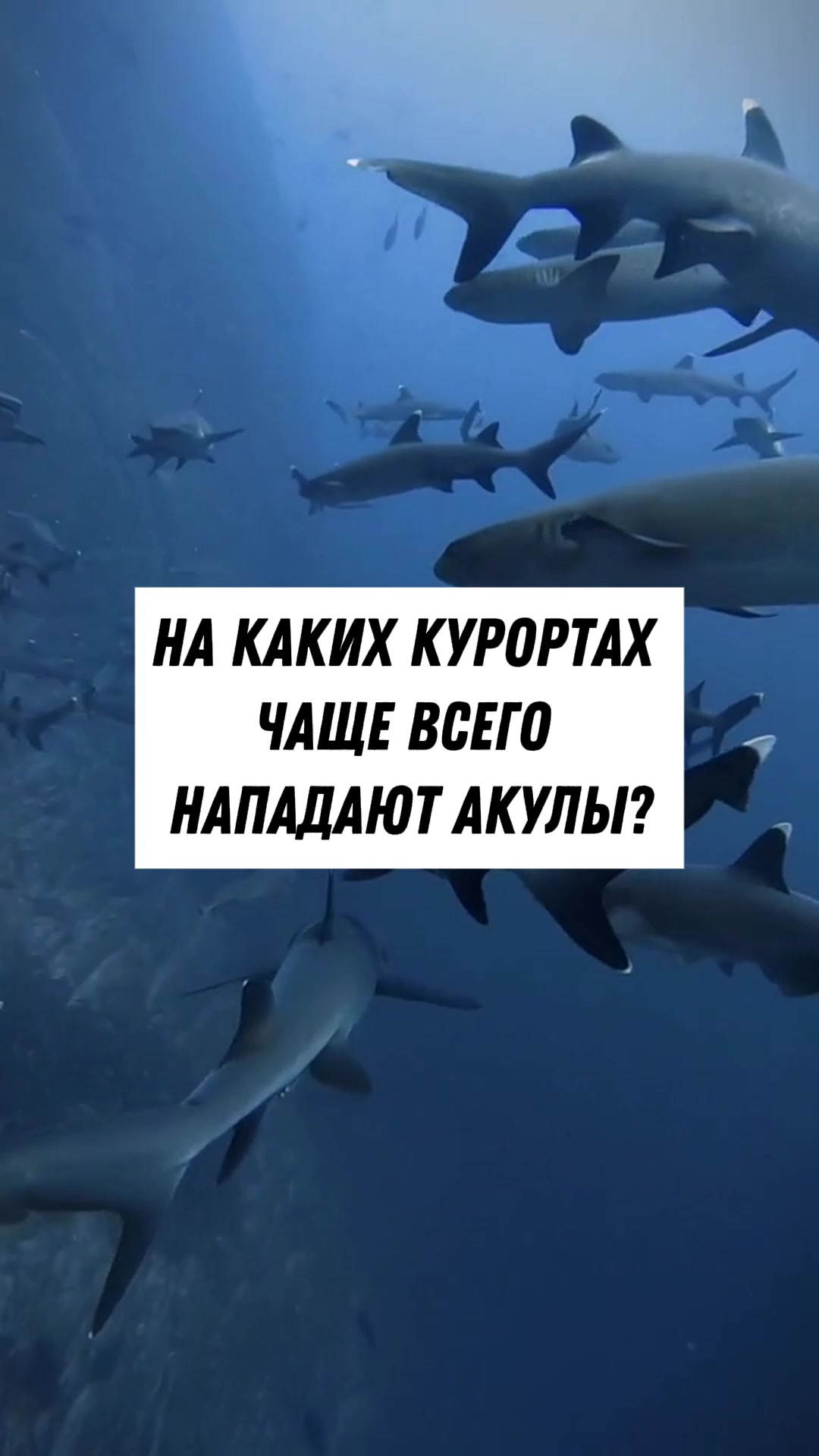 @Тревел Тёма