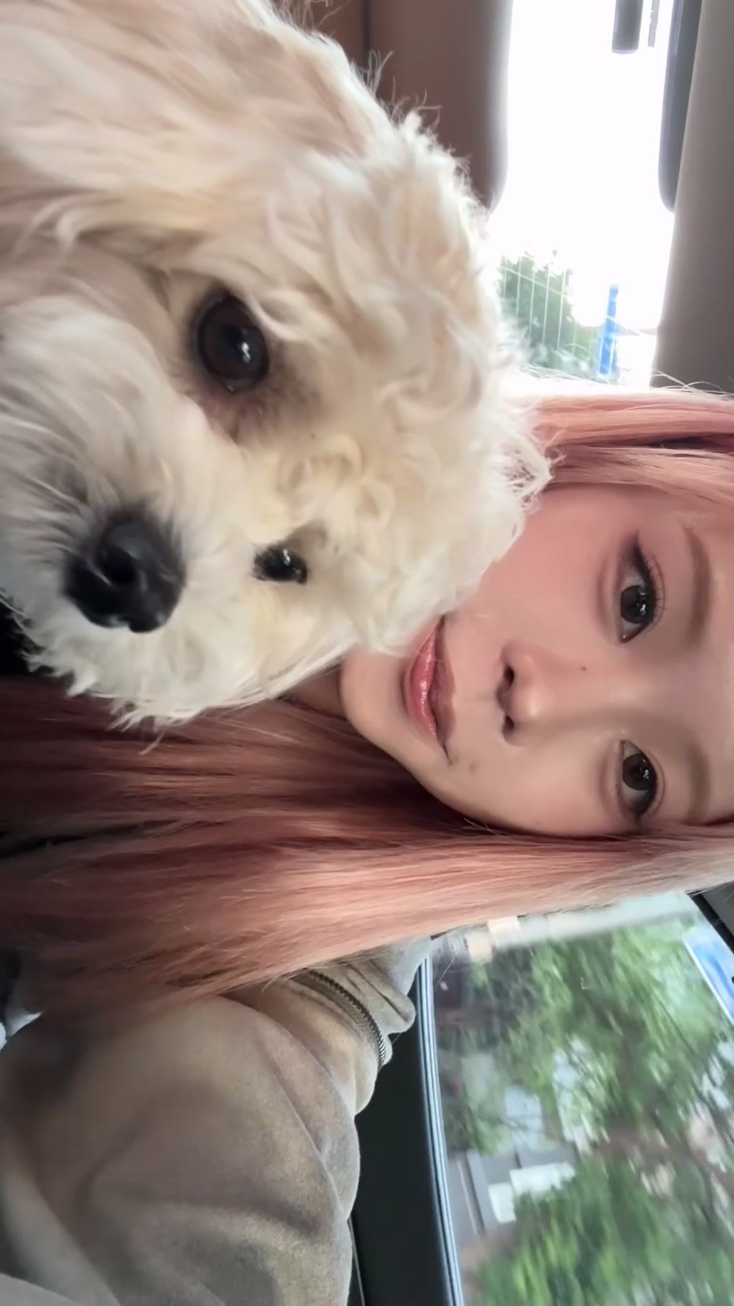 @잼잼