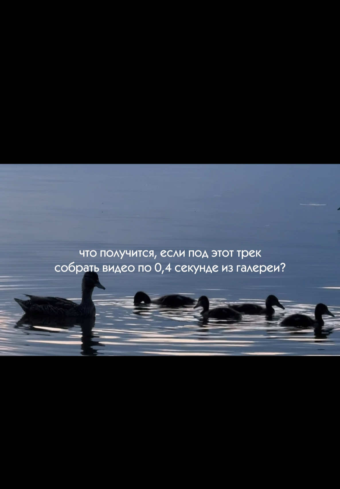 @Дмитрий Любимов