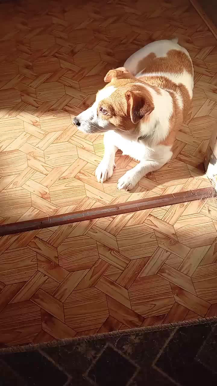 @Елена