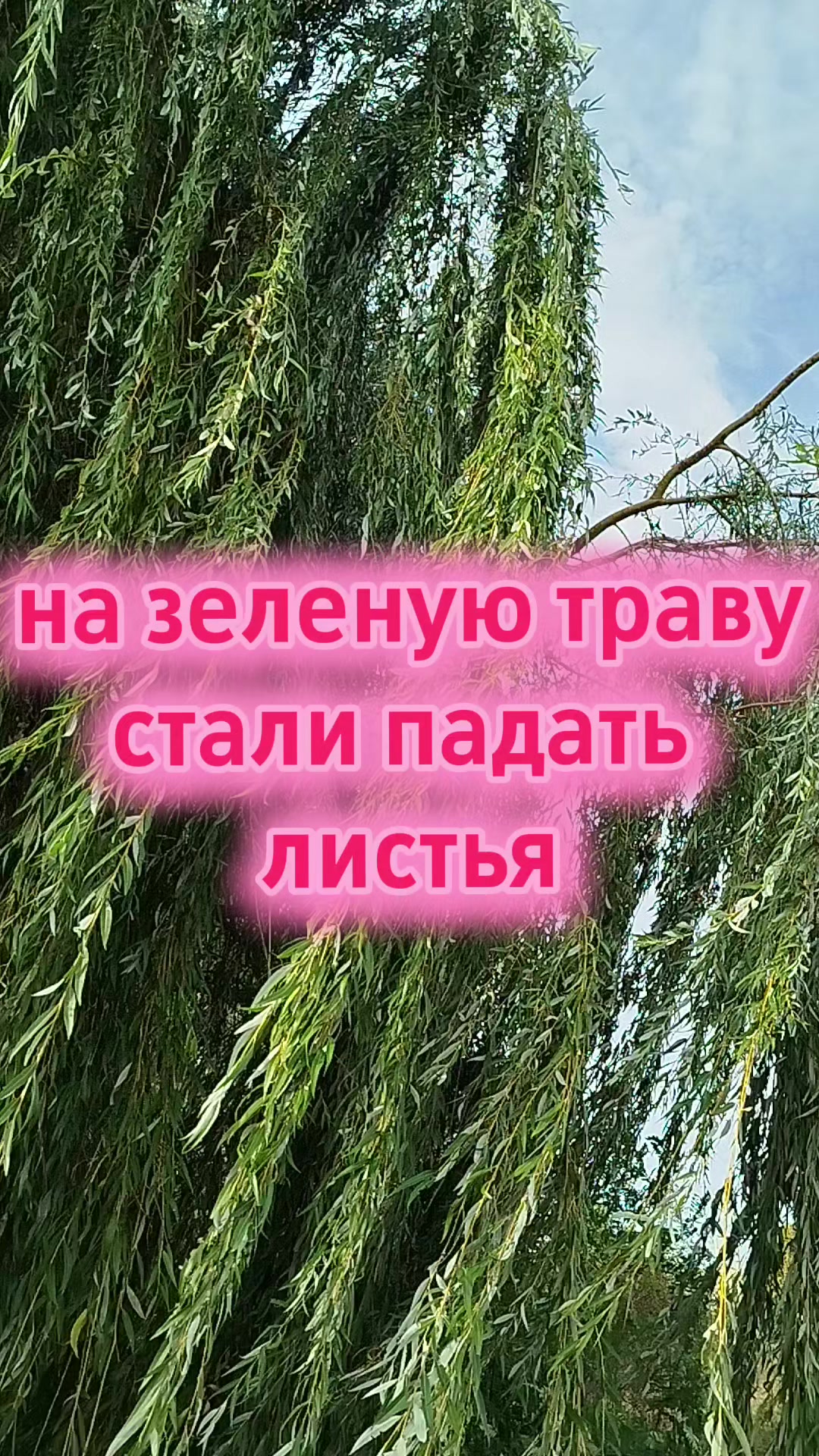 @NinaPianyk