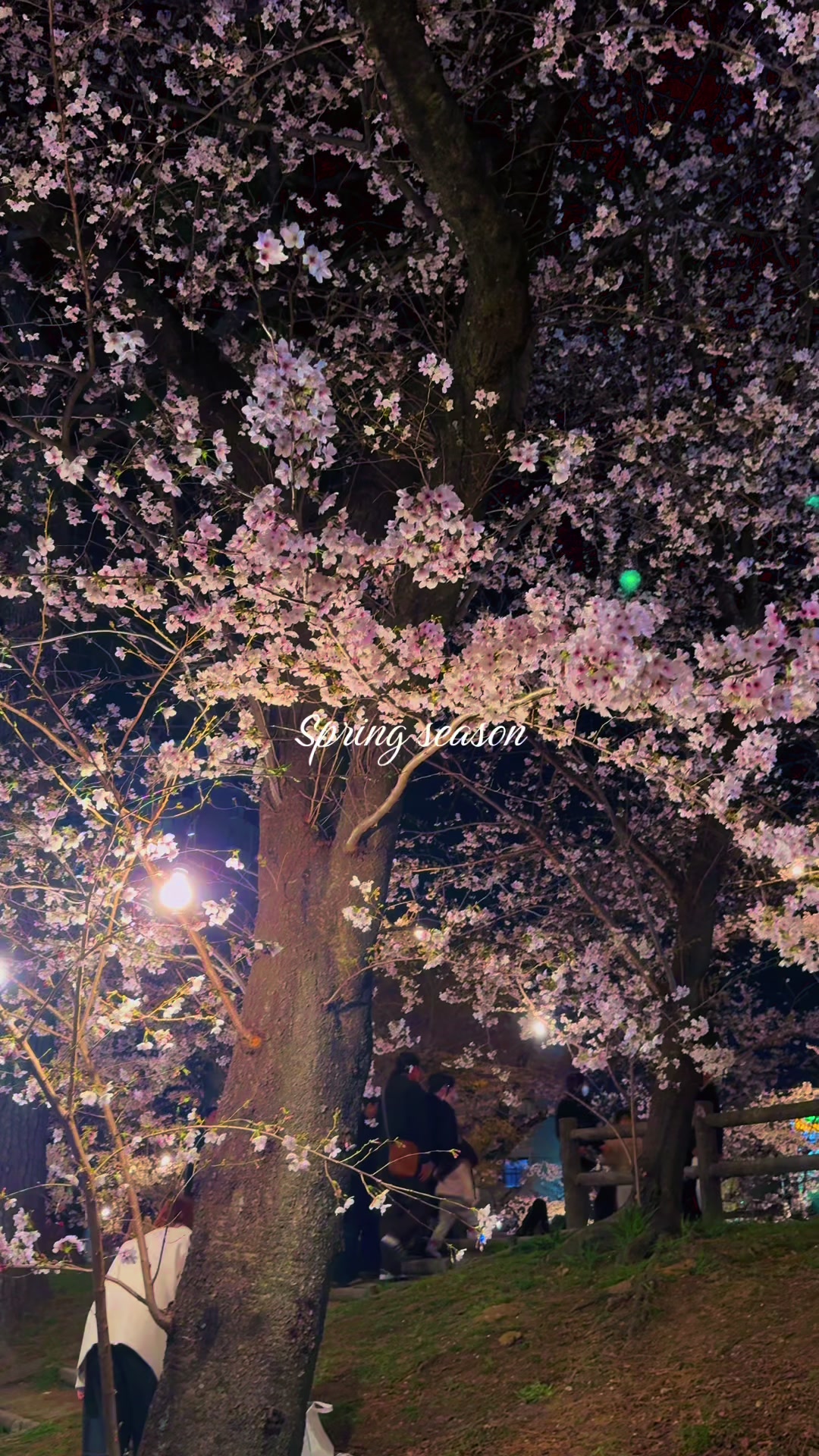 @JapanwithJk