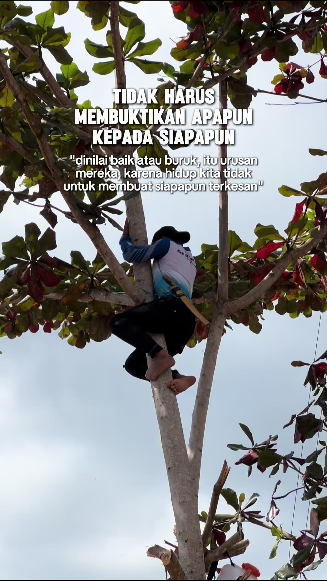 @Pak Komang