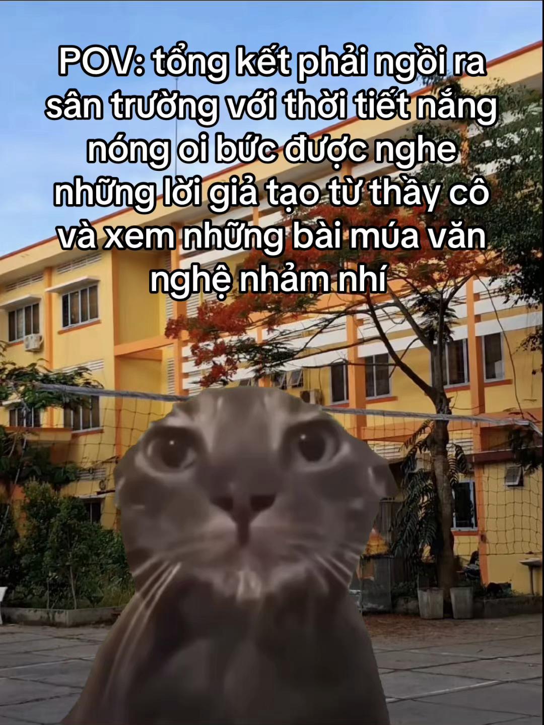 @TSUXUAN