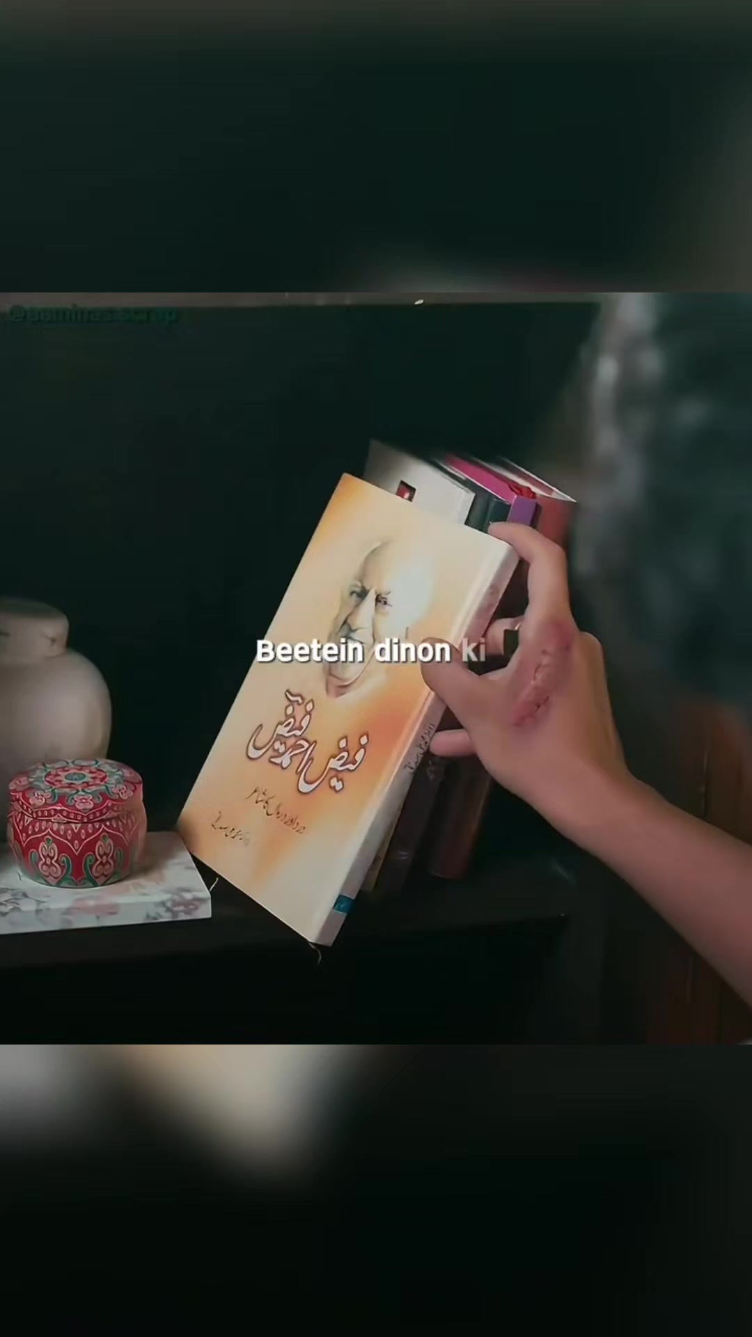@حُسن پرست لڑکی ✨️💞