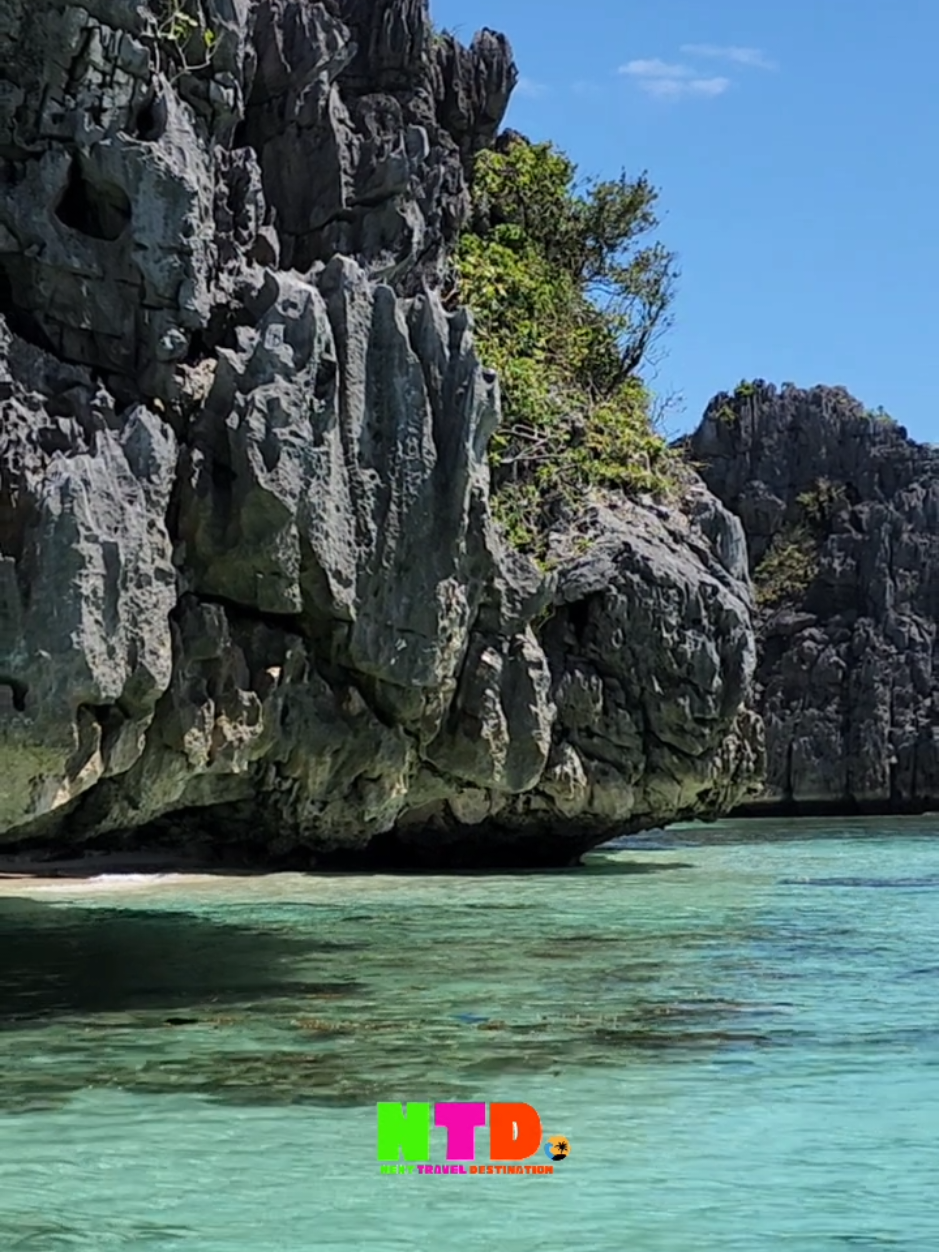 @NEXT Travel Destination