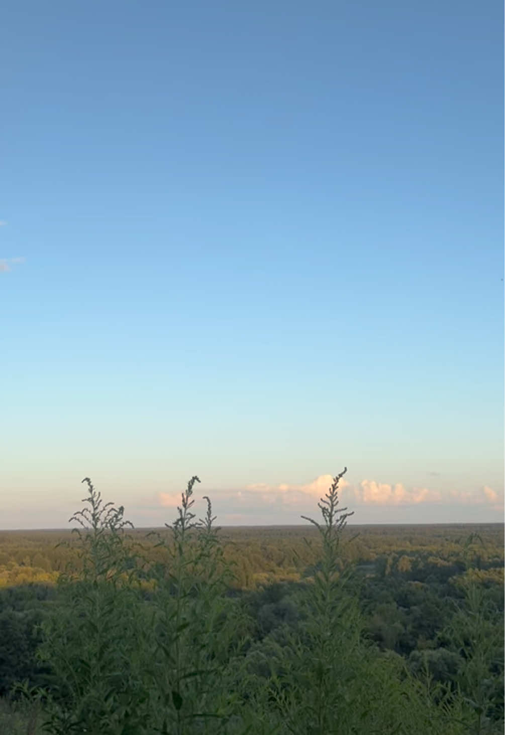 @киса ред