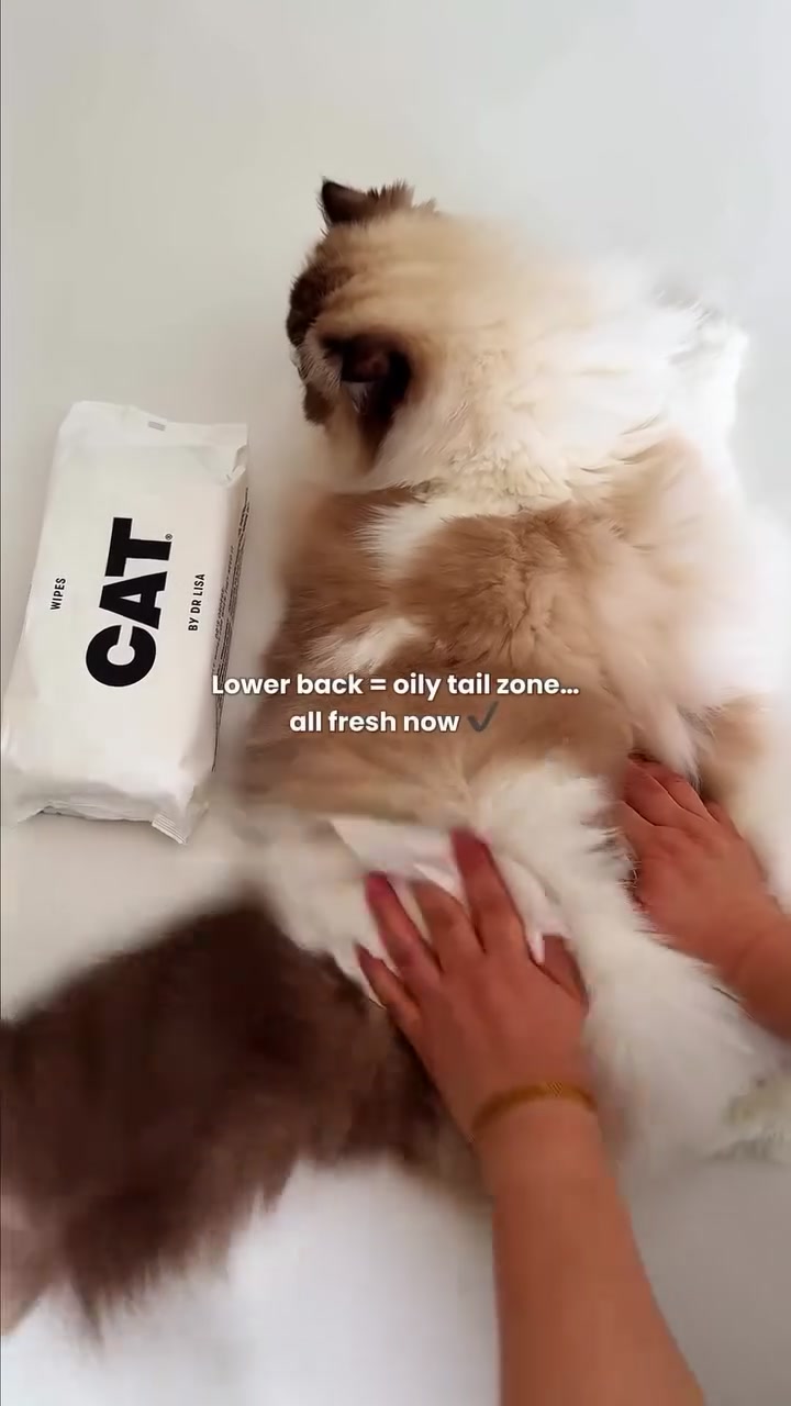 @CAT by Dr Lisa