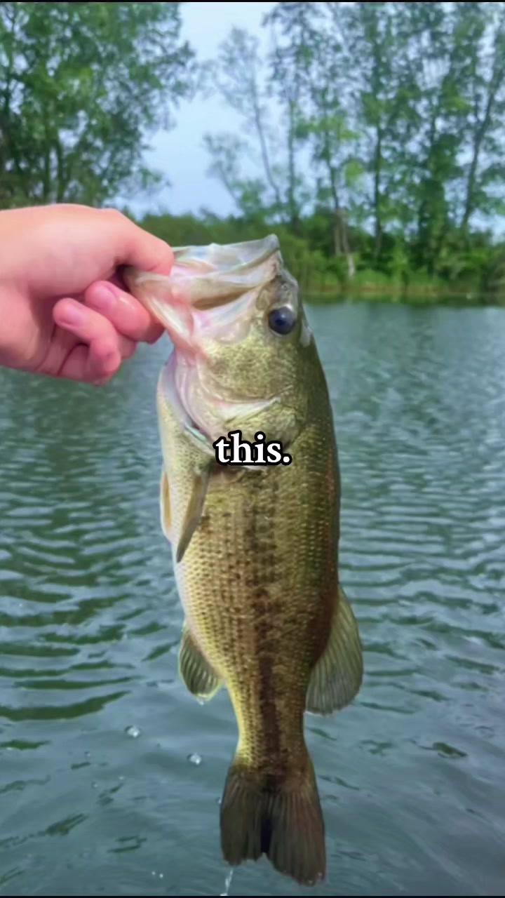 @Country Girl Jess
