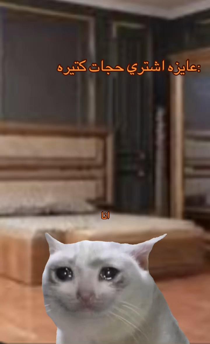 @🎀&beta;&epsilon;&tau; m&omicron;&pi;&tau;&upsilon;🎀