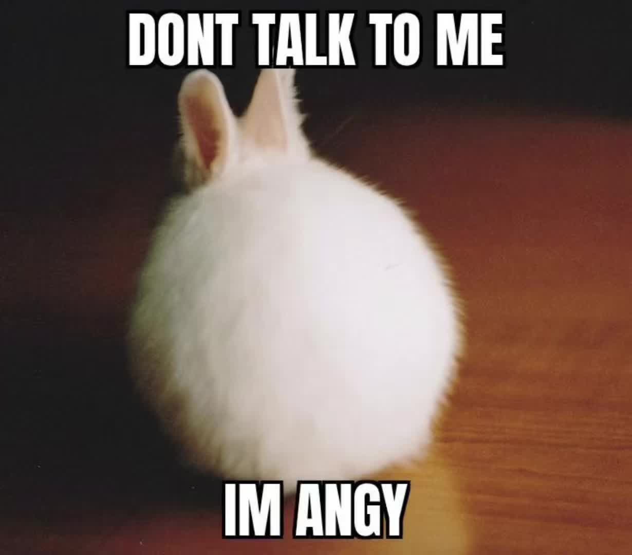 @vananir0