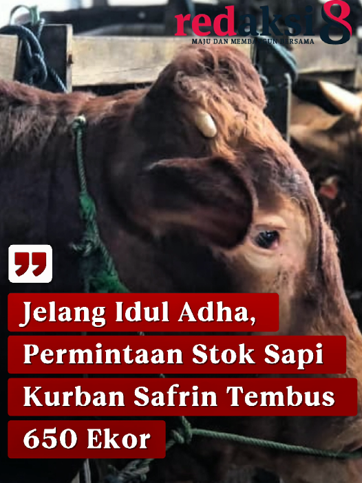 @redaksi8.com