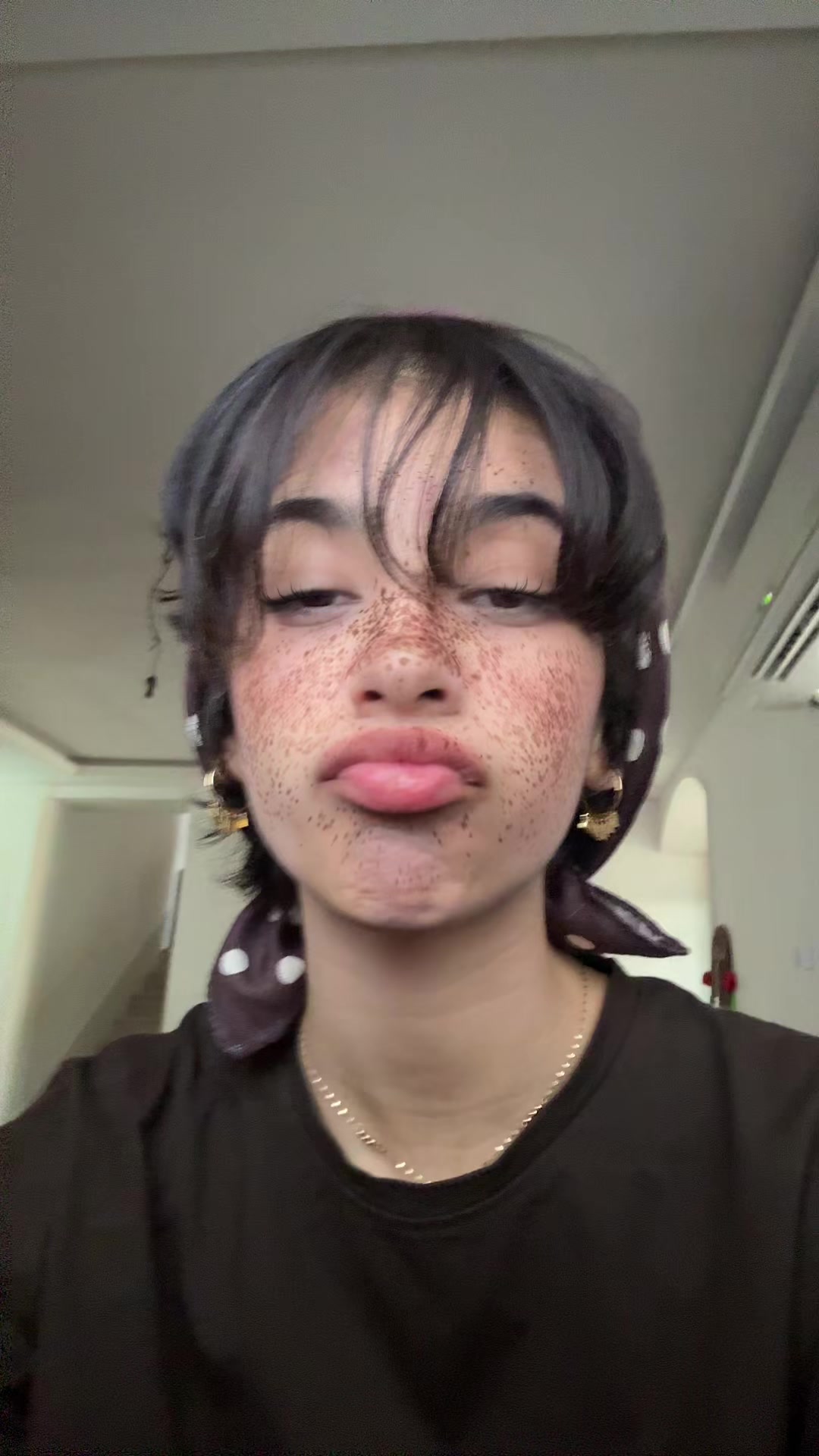 @setayeshwn