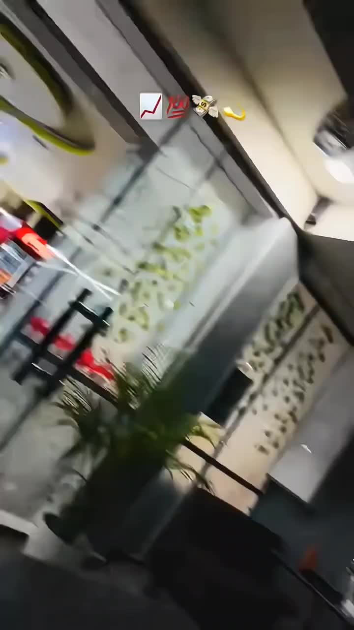 @Dream TradeR 🏎️💸