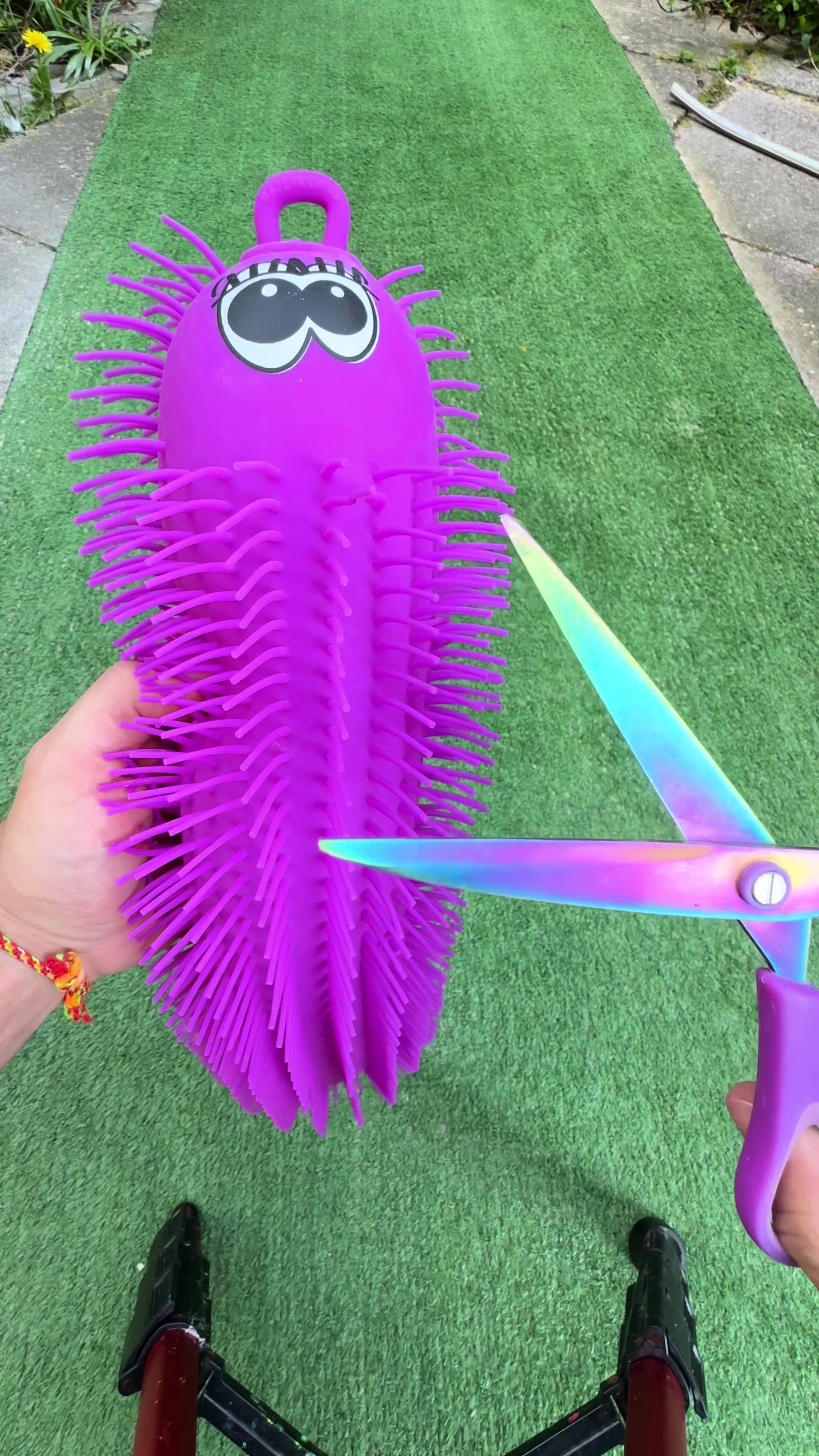 @SHARK ASMR 🦈