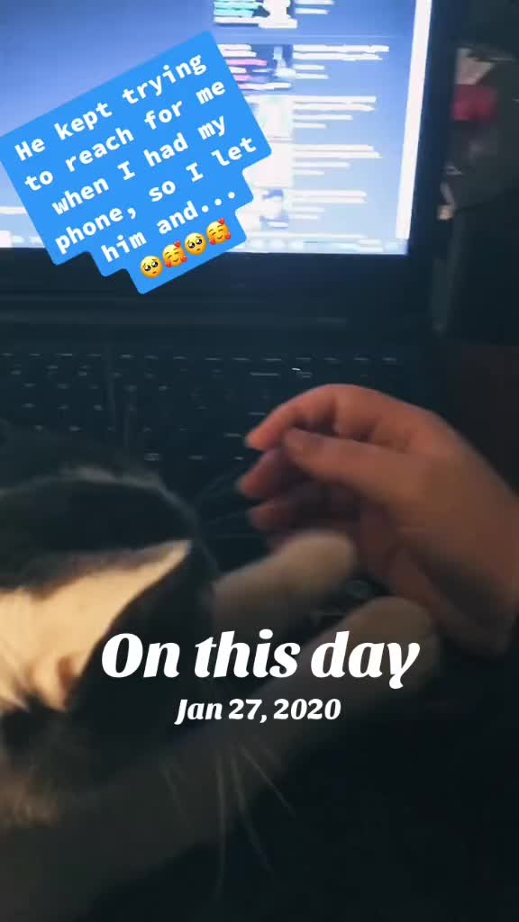 @CupcakeTheDestroyer