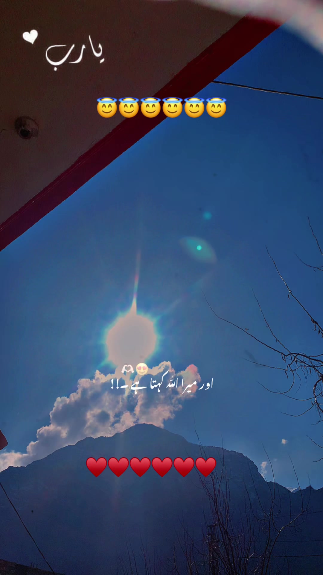 @Dr.Hiba khan 🔺❣️