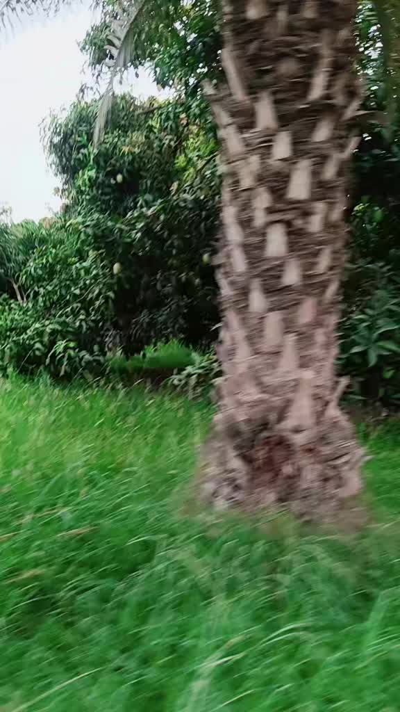 @Tasleem Bano Multan