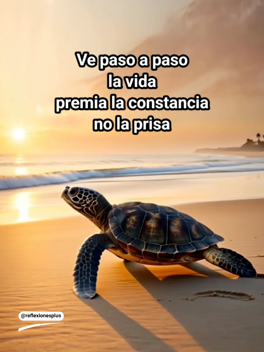 @reflexiones