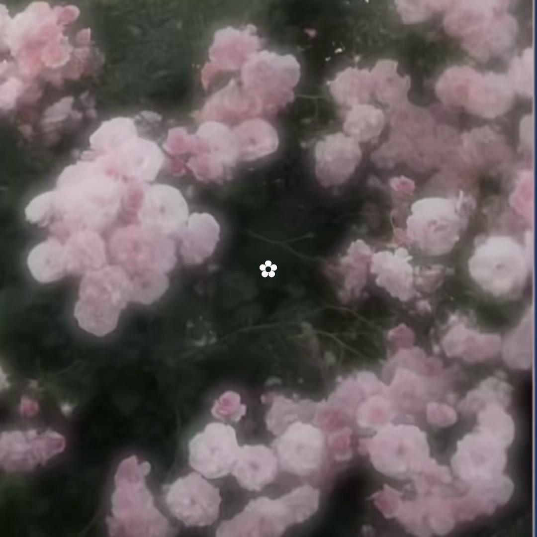 @冷笑系帰れ笑