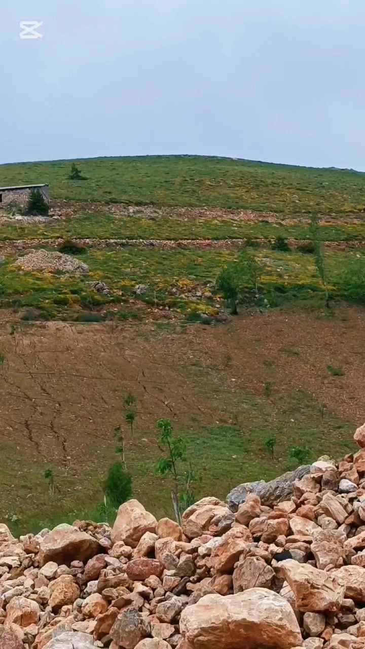 @DAĞCI.46