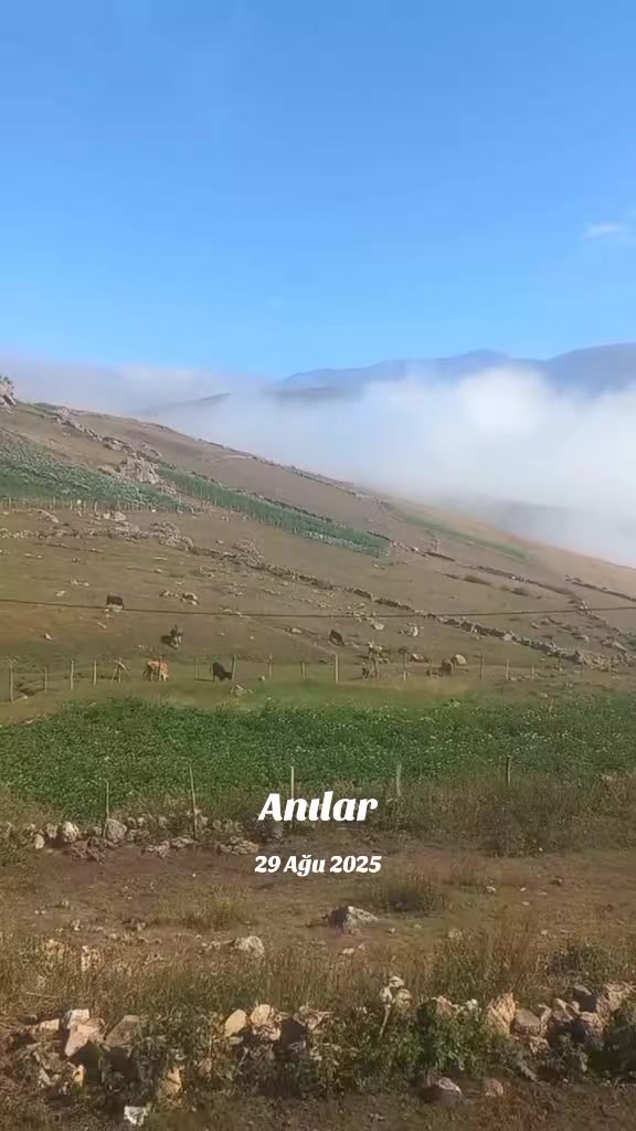 @Yurdag&uuml;l Demir