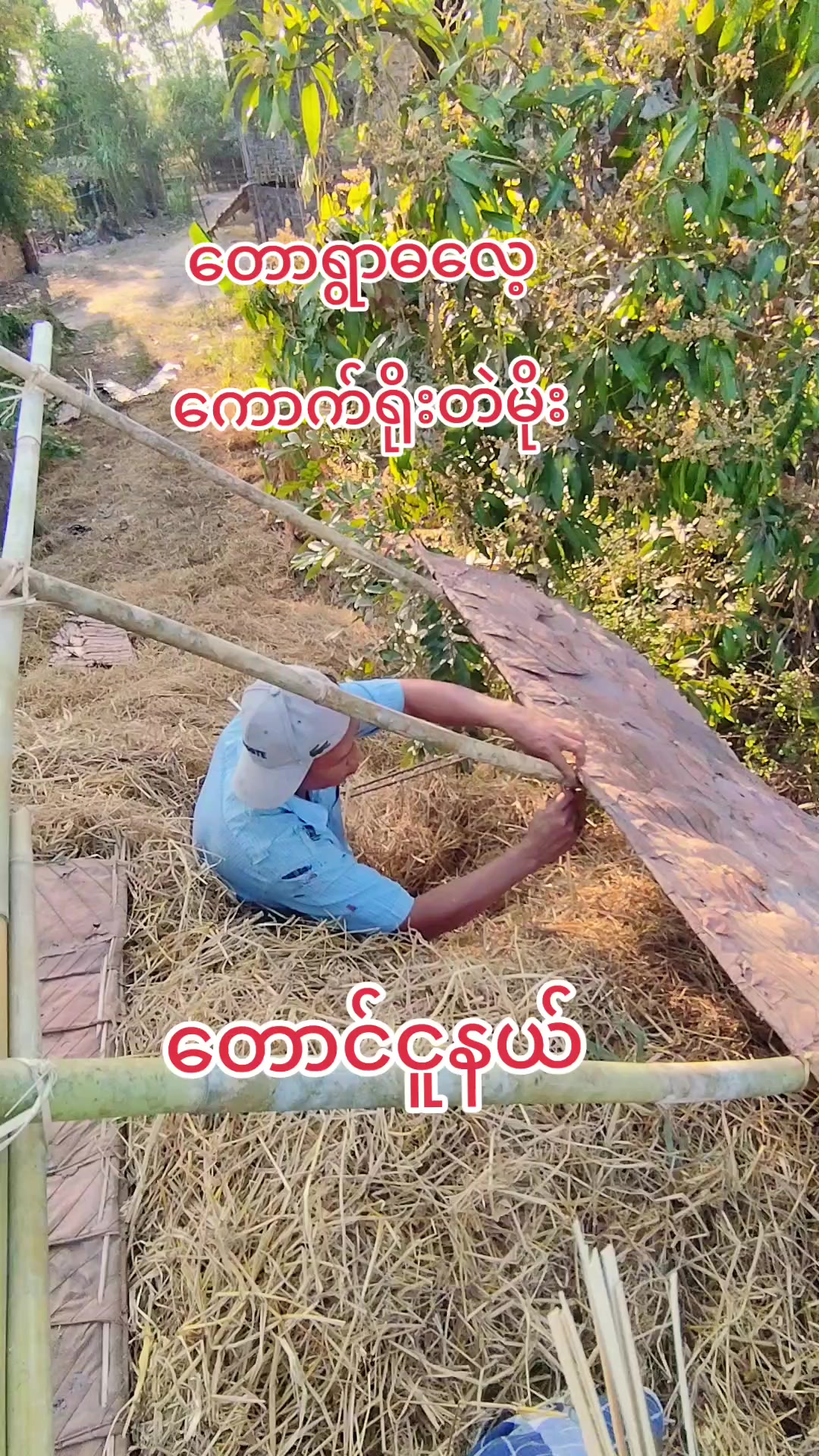 @🇲🇲နောင်လေး🇲🇲 ( TAUNGOO )