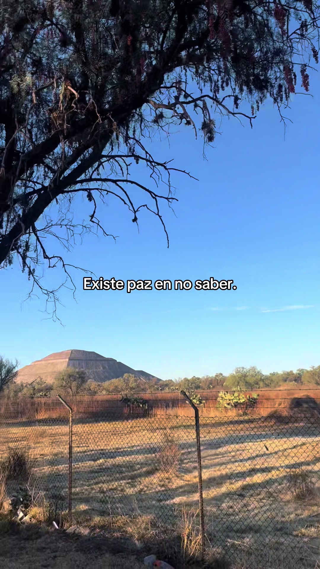 @Paola Delgadillo