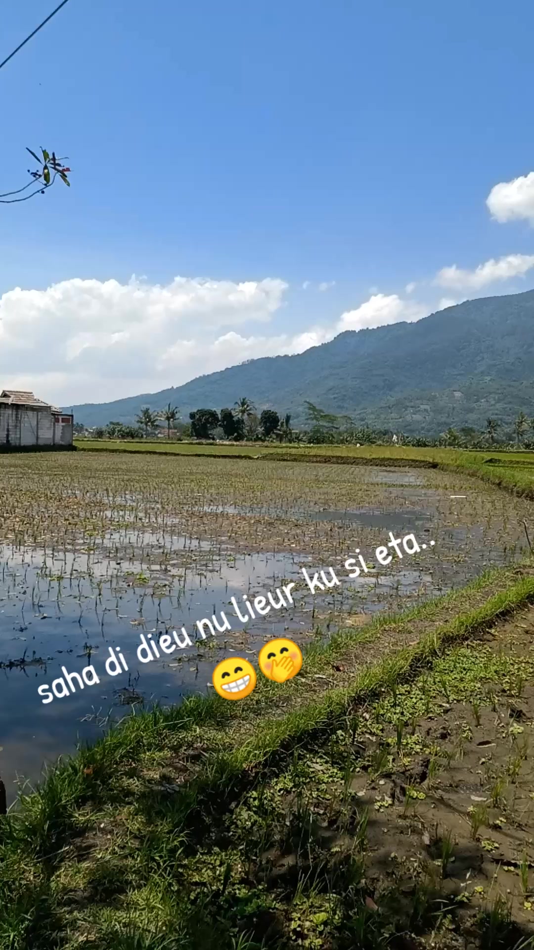 @Boma Casanova