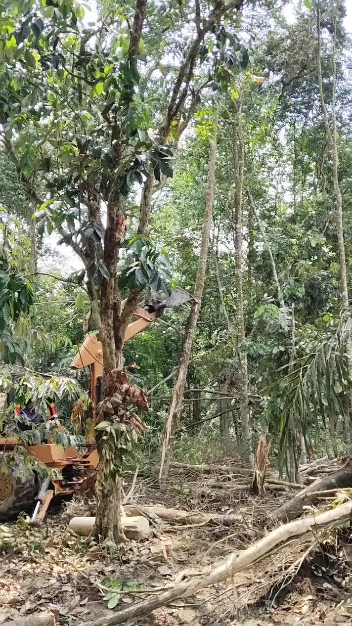 @AmirGarcia69🇲🇾🐂🐐