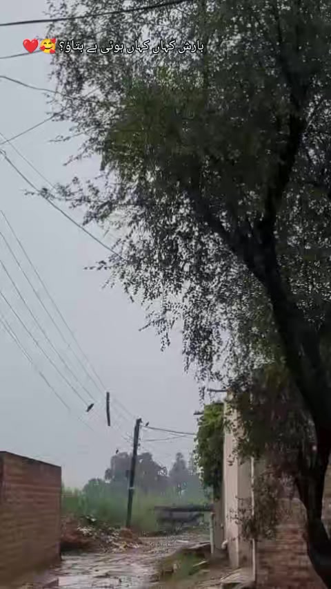 @💝شانی سندھو 🌱🌾