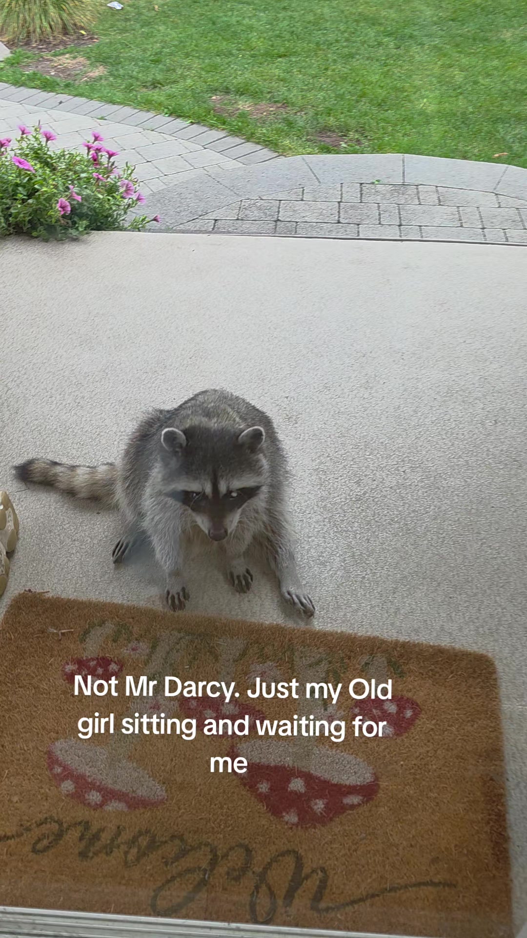 @Raccoon Drive Thru